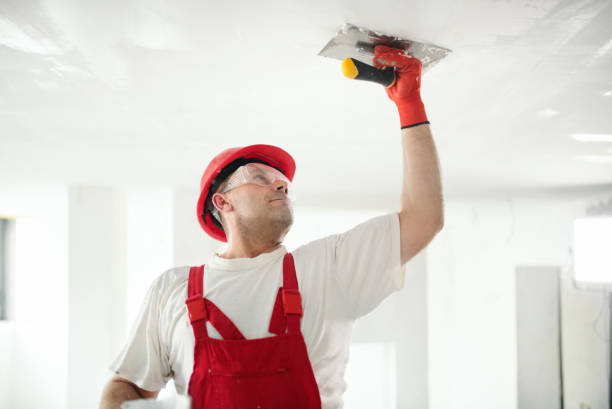 Eco-Friendly and Low-VOC Painting in San Juan Capistrano, CA